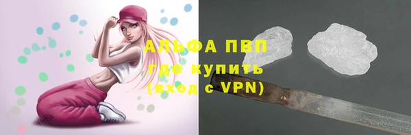 стафф Баксан