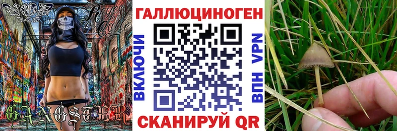Псилоцибиновые грибы ЛСД  Балтийск 